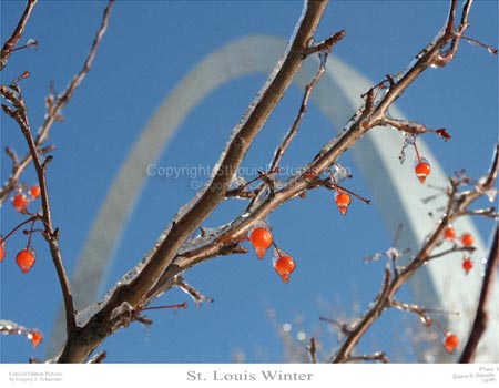 St. Louis Winter - Plate 1